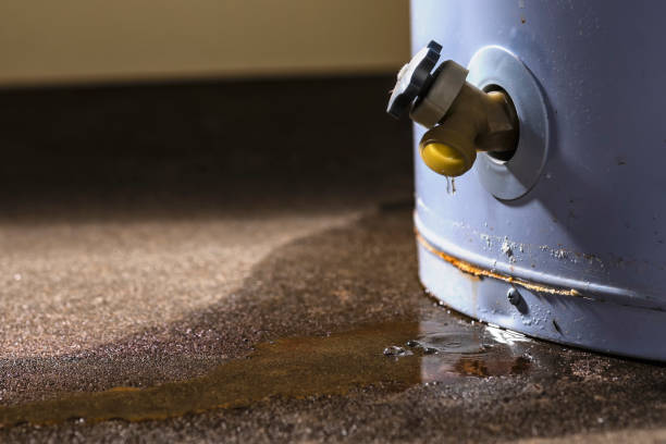 Best Flooded house restoration  in Apison, TN