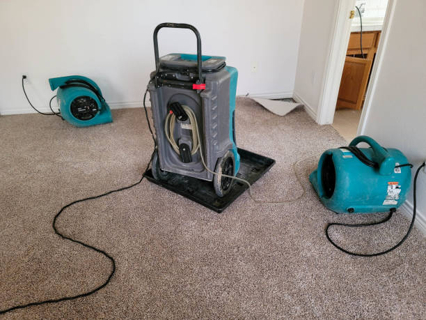 Best Residential water damage restoration  in Apison, TN