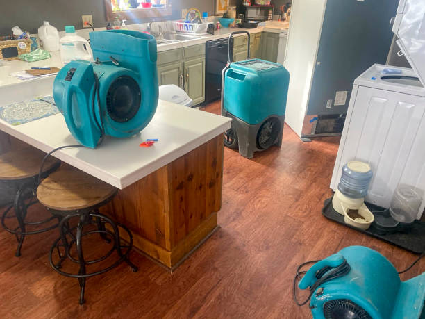 Best 24-hour water damage restoration  in Apison, TN