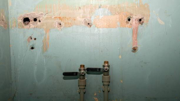 Best 24/7 water damage repair  in Apison, TN