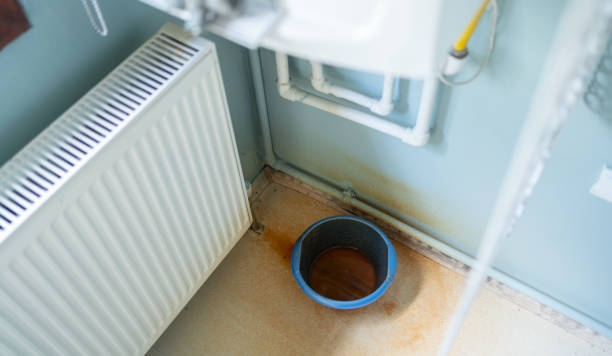  Apison, TN Water damage restoration Pros